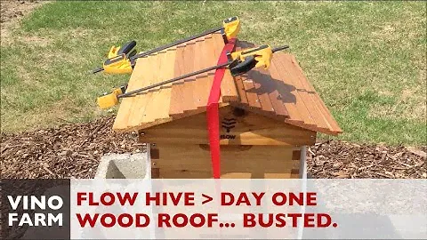 Flow Hive Day 1 - Busted Roof, Insulation, Entrance Reducer
